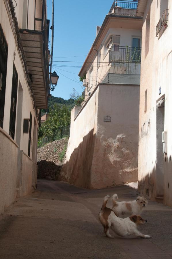 Casa Beatles Del Valle Pinos del Valle Екстер'єр фото